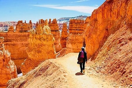 Explore the Wonders of Bryce Canyon & Zion National Park Day Tour