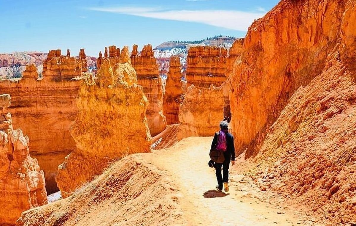 Small Group Day Tour To Explore Bryce Canyon & Zion National Park