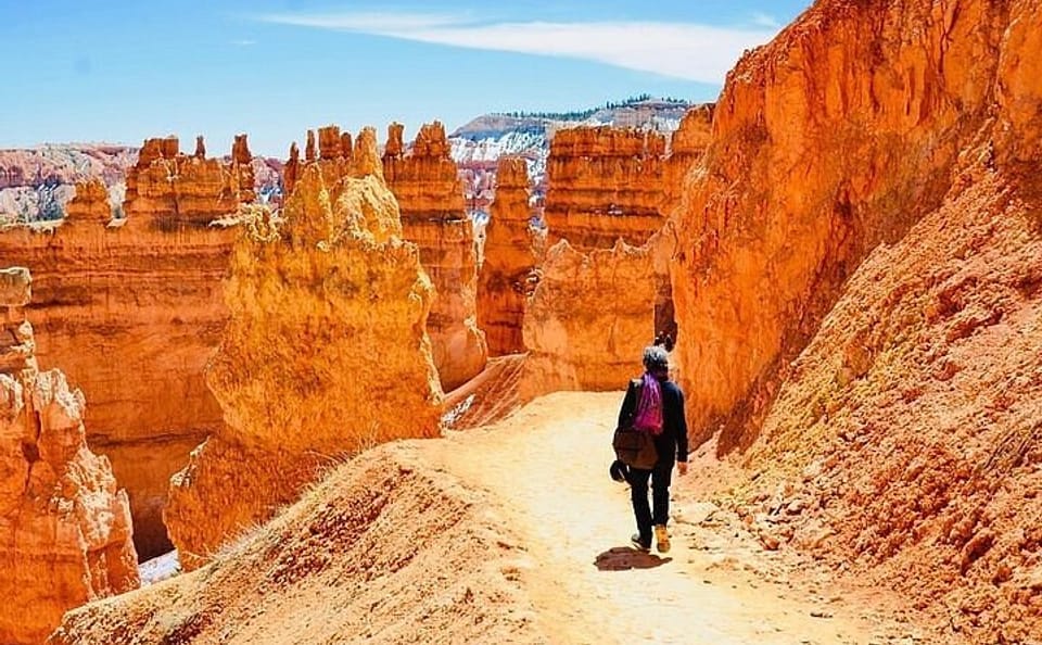 Small Group Day Tour of Bryce Canyon and Zion National Park