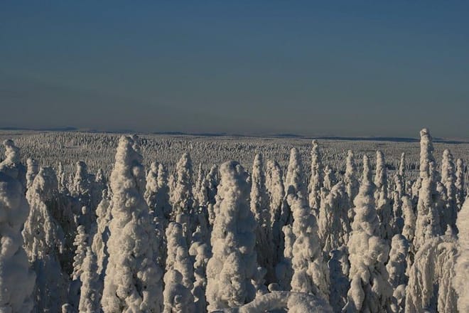 Pyhä-Luosto National Park and Amethyst Mine by Car from Ivalo - Saariselkä, Inari photo 4