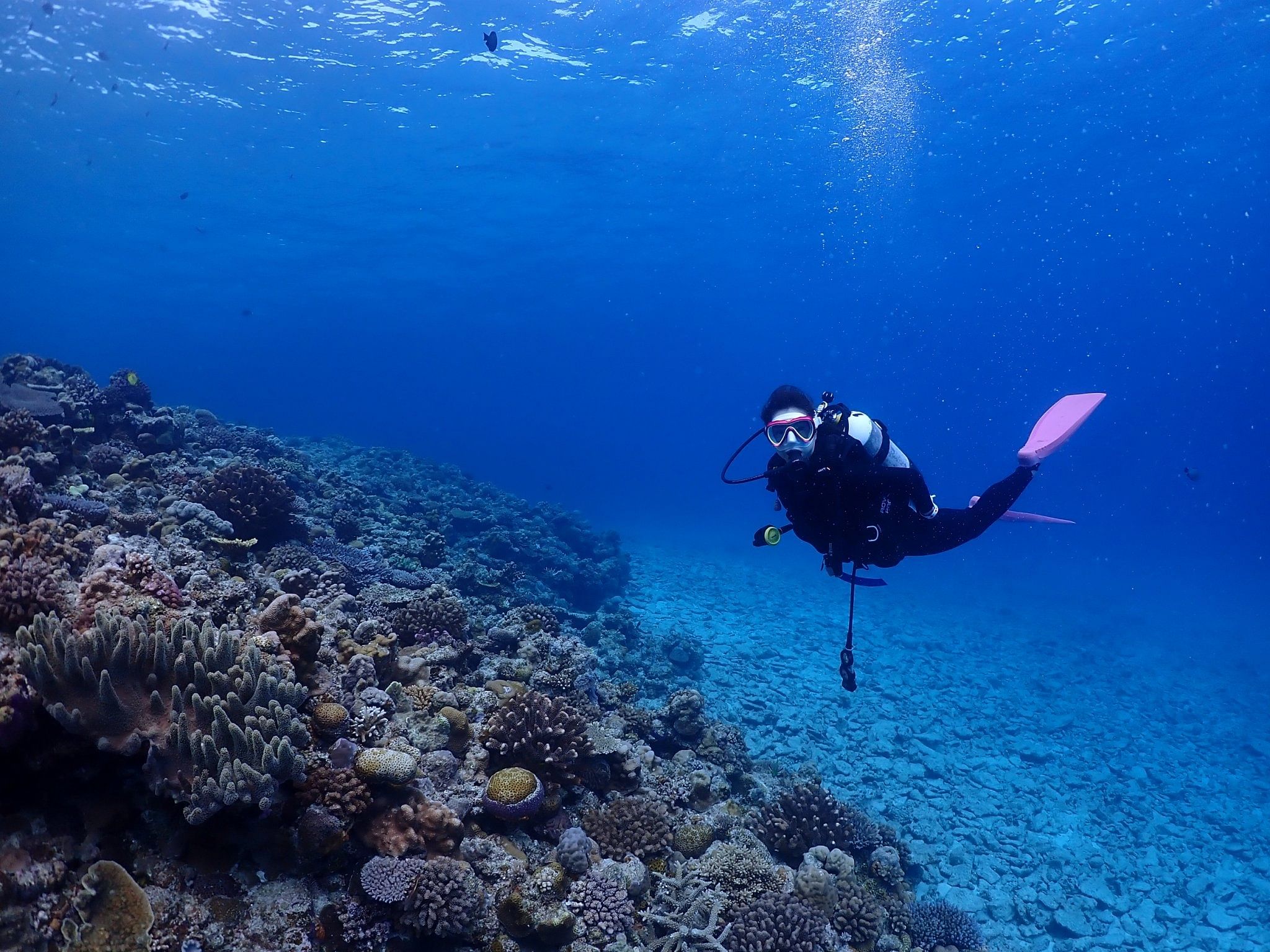 Boat Fundive 2Dives at Minna Isl or Sesoko , Okinawa