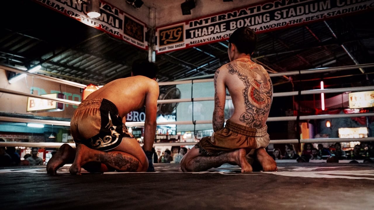 Chiang Mai's Thapae Muay Thai Boxing Stadium 4