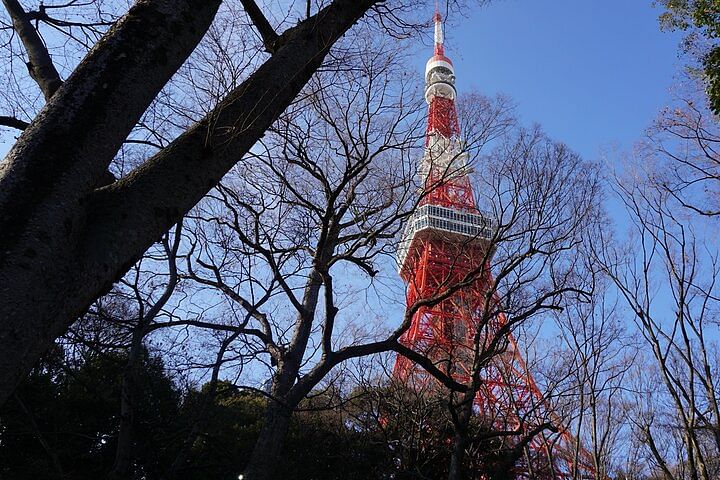 2 Hour Top 3 Hidden Tokyo Tower Photo Spots and Local Shrine Tour