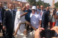 Follow the Clinton’s Foot Steps To Atlas Mountains | 1 Day : Private & Luxury  10