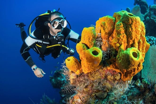 Bodrum Scuba Diving Experince with Lunch and Roundtrip Transfer 8