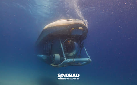 Underwater Exploration Tour in Hurghada's Sindbad Submarine