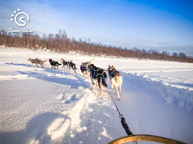 Dating Snow & Ice - Snowshoeing, Santa Claus Village, Husky Ride & Ice Castle Visiting photo 6
