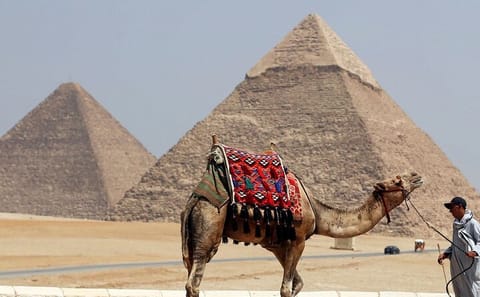 Private Day Tour from Marsa Alam to Cairo and Giza