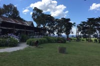Scenic Private Yarra Valley Wine Tour  5