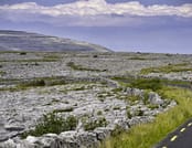 Walk Mullaghmore hill in the Burren, Clare. Private guided. 2 hours 8