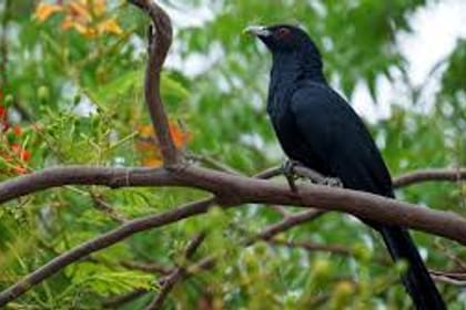 03 Day Tour From Galle ( Without Accommodation)