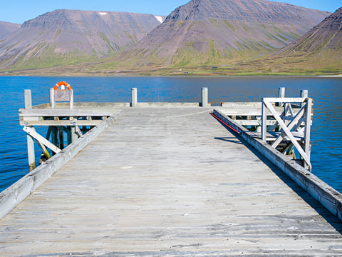  Private tour from Isafjordur Port: Dynjandi Waterfall & Westfjords Panorama, photo 6