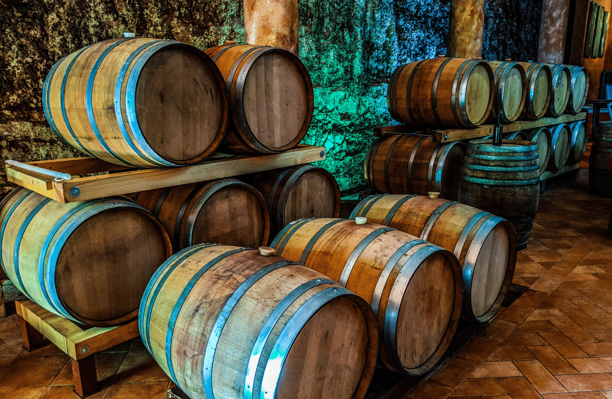 Vineyard Walk & Wine Tasting in the Berici Hills of Vicenza