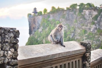 Cultural Tour of GWK Park, Uluwatu Temple & Kecak Dance