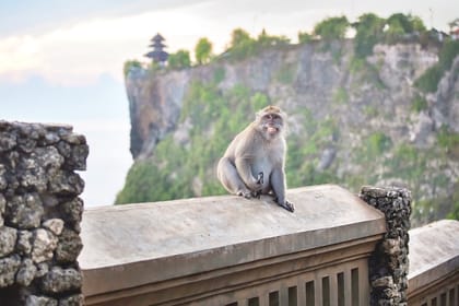 Cultural Tour of GWK Park, Uluwatu Temple & Kecak Dance