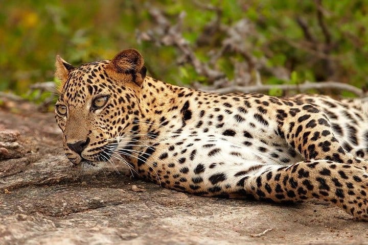 Colombo City Tour Highlights