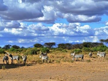 3 Days, 2 Nights Safari – Amboseli National Park and Tsavo West Adventure Safari