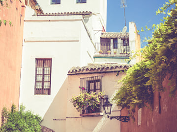From Cordoba: Seville private full day trip