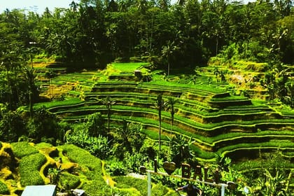 Bali Culture and Hidden waterfall Tour