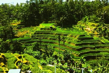 Bali Cultural Experience and Hidden Waterfalls Tour