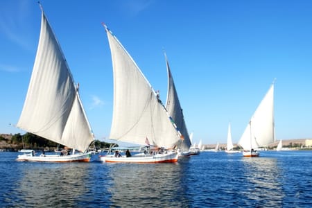 Cairo Nile River Dinner Cruise: Live Entertainment & Scenic Views