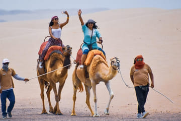 Camel Ride Adventure in the Desert of Ica, Peru