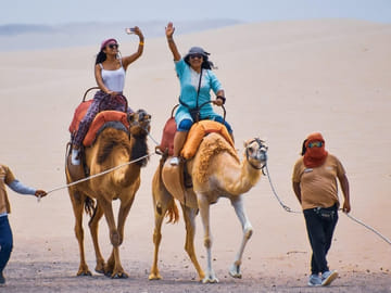 Camel Ride Adventure in the Desert of Ica, Peru