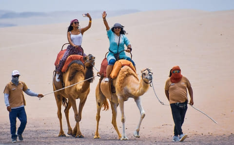 Camel Ride Adventure in the Desert of Ica, Peru