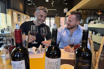 Evening Wine Tasting Tour at Local Wineries in Athens