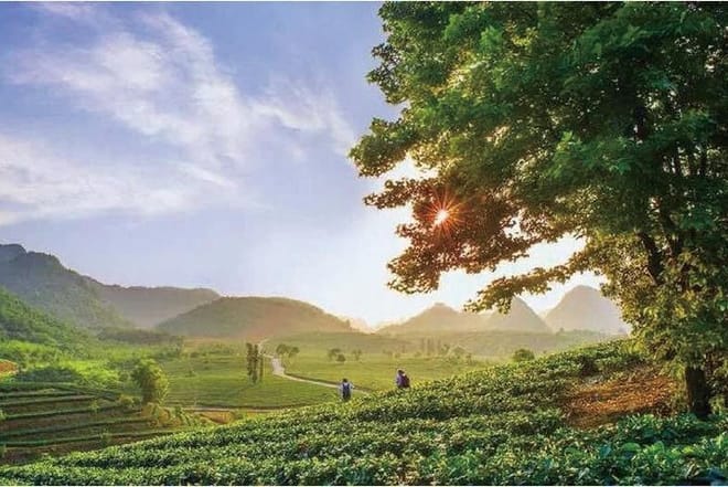PRI Day Tour to Jiqingli Tea Plantation, Xianqiao Underground River fr Guangzhou 2