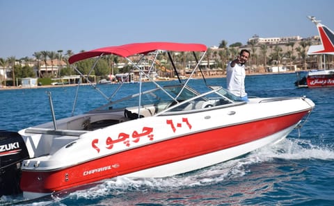 Private Speed Boat Tour to Tiran Island from Sharm El-Sheikh