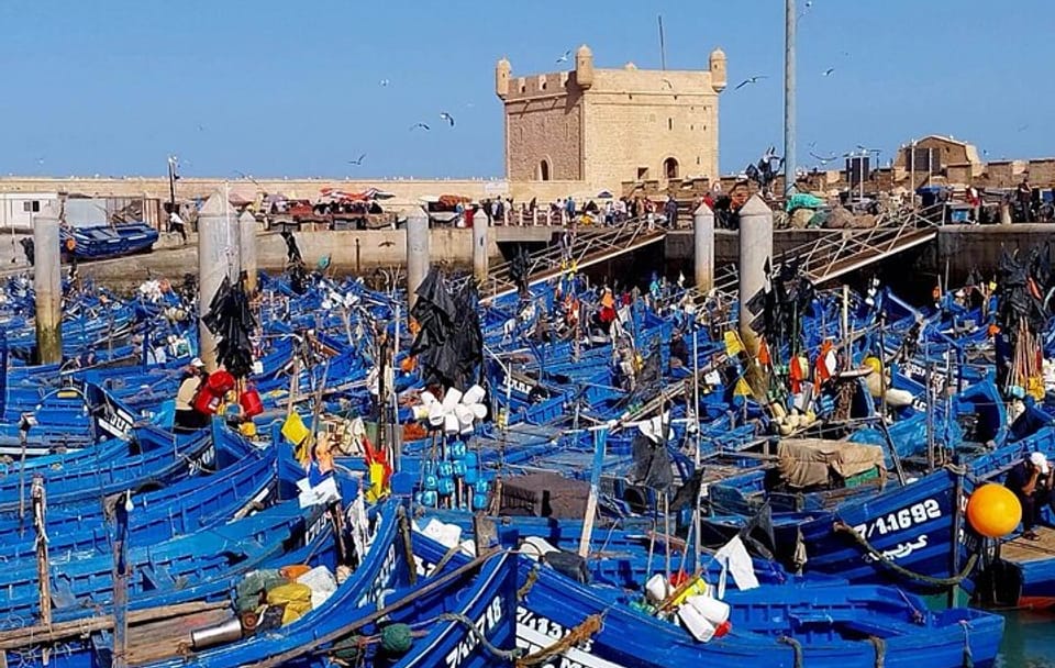 Private Cultural Day Tour to Essaouira from Marrakech