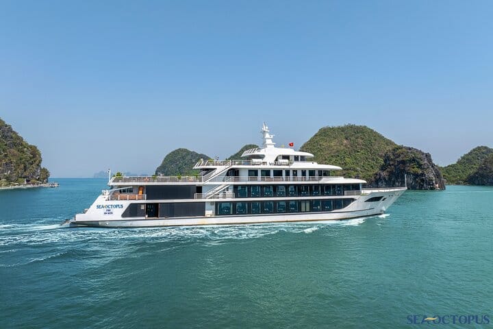 Sea Octopus Cruise Day Trip From Hanoi With Express Bus
