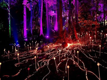 Dream Forest Langkawi