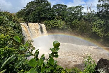 Big Island: Volcano, Waterfalls & Coffee Group Tour