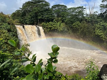 Big Island Volcanoes, Waterfalls, and Coffee Tour
