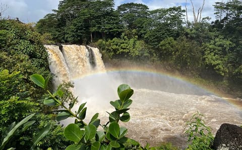 Big Island Volcanoes, Waterfalls, and Coffee Tour