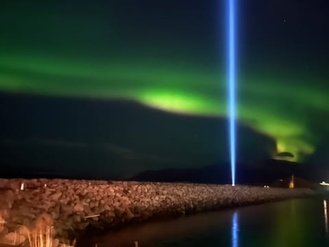 Reykjavík Imagine Peace Tower Tour, photo 5