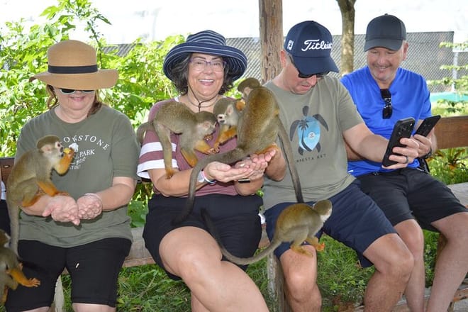 Puerto plata: Waterfalls Monkeys and beach tour Pick up included 5
