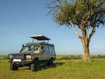 10-Day Private Big 5 Safari and Diani Beach Getaway