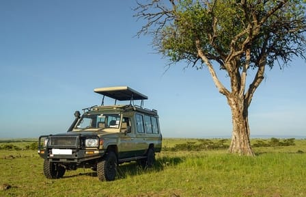 10-Day Private Big 5 Safari and Diani Beach Getaway