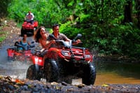 Quad Safari