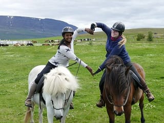 Pleasure in every hoof step, photo 6