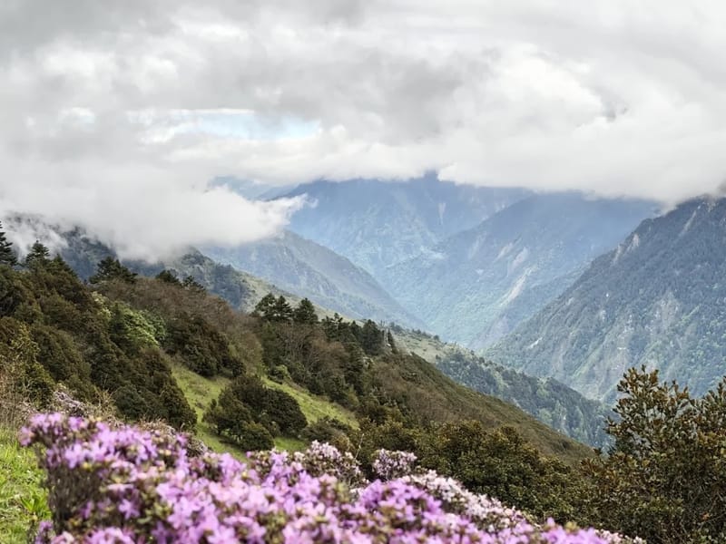 Chengdu: Balang Mountain & Cloud Sea Private Day Trip