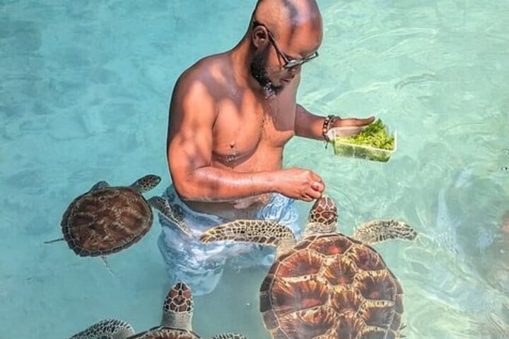 8 Days Zanzibar Discovery Adventure