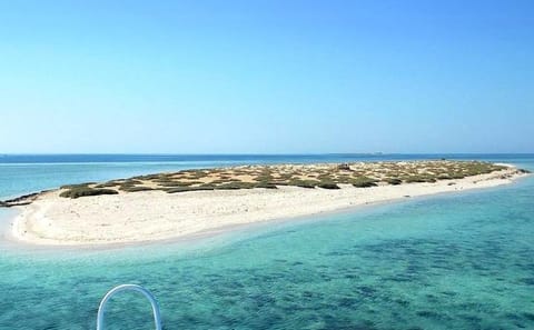Snorkeling Day Trip to Hamata Island from Marsa Alam