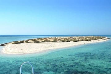Snorkeling Day Trip to Hamata Island from Marsa Alam