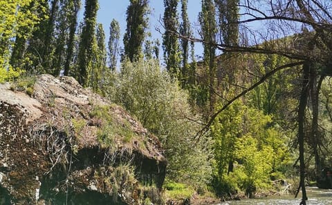 Cappadocia Full-Day Green Tour: Derinkuyu, Göreme, Guzelyurt