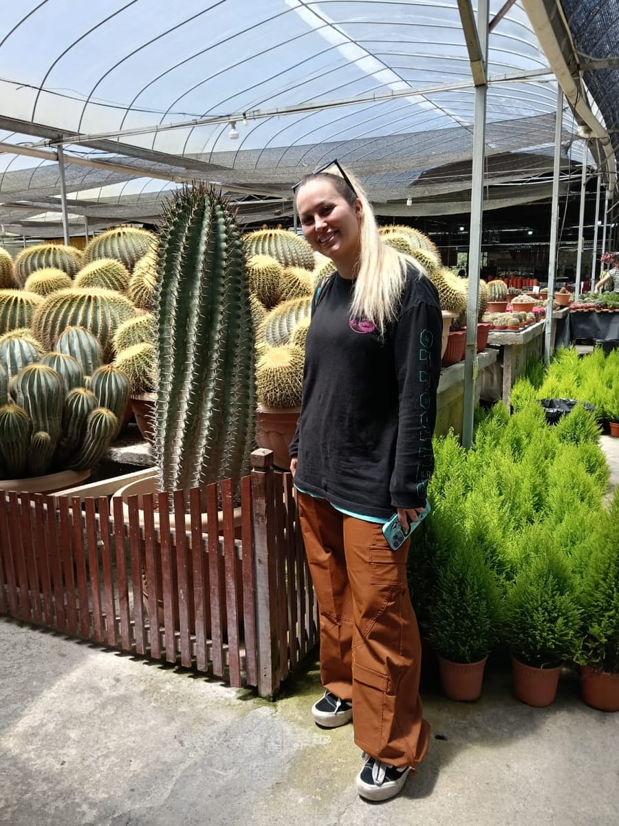 Cameron Highlands Day Tour from Ipoh with lavender garden and tea plantation