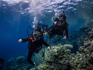 Scuba Diving Adventure in Jeddah's Red Sea Waters